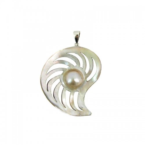 Carving Shell And Pearl A